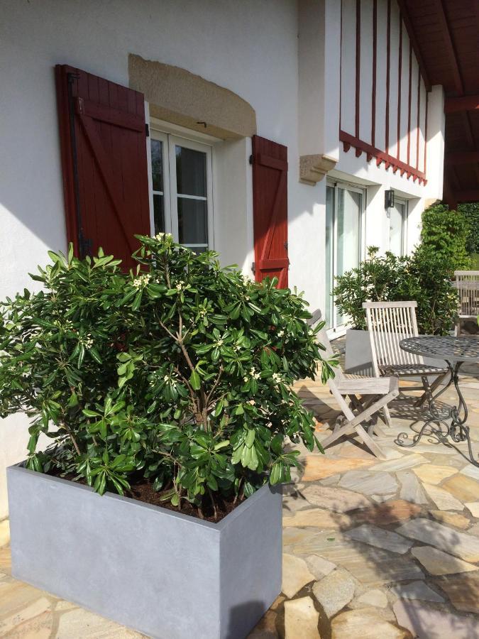 Maison D'Hotes Urbegia Ascain Exteriör bild